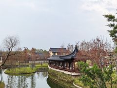 -江心屿景区