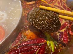 -小龙坎火锅(春熙太古里店)