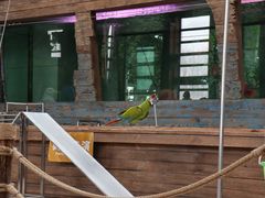 景点-南宫五洲植物乐园