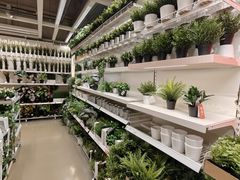 -宜家家居(宝山商场店)
