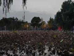 -四川大学(望江校区)