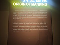 -柳州白莲洞洞穴科学博物馆