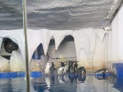 -太平洋海底世界