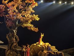 -《驼铃传奇》秀