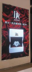 -DR钻戒(成都银泰城店)
