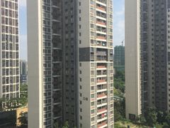 -东北人粗粮饺子坊(南山店)