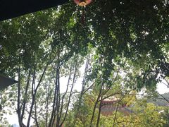 -天竺岩寺