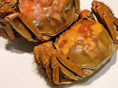 -北塘海鲜·天津菜(大光明桥旗舰店)
