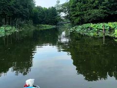 -溱湖国家湿地公园