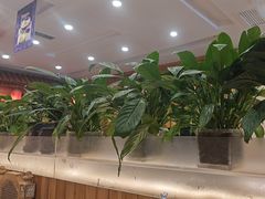 -大清花饺子(山庄店)