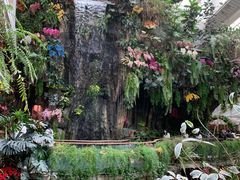 -正佳雨林生态植物园