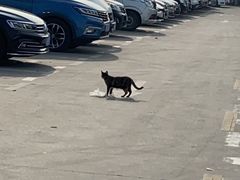 -江杨农产品批发市场