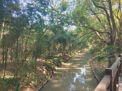 -同里国家湿地公园