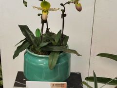 -云溪植物园