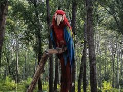 -北京野生动物园