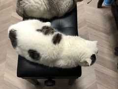 -三人行骨头王火锅(长寿店)