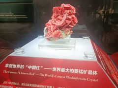 -湖南省地质博物馆