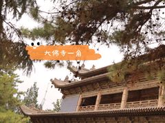 -张掖大佛寺景区