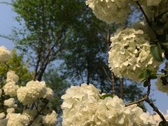 -大龙山(地铁站)