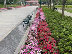 -新江湾城公园
