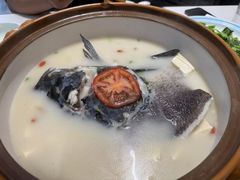 -全乐鱼馆·淳牌有机鱼直营店