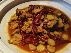 -印象鲵宴·张家界地标美食名片(溪布街店)