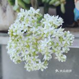 入坑3年 感谢你们的陪伴