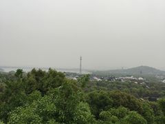 -香雪海