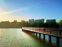 -中央民族大学