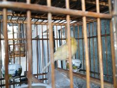 -王虎子大饼(甸柳新村五区店)