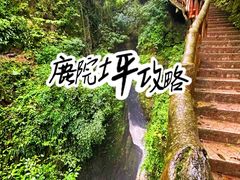 -鹿院坪生态旅游景区
