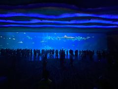 -濠轩阁特色生蚝火锅(水湾路店)