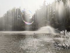 -济南国际园博园