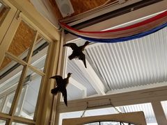 -栖露营camping·天幕烧烤·团建拓展·采摘营地