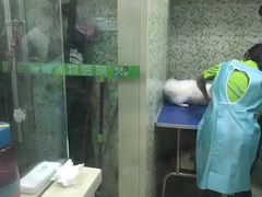 -瑞鹏宠物医院·微创内窥镜·骨外科·牙科(翠竹分院)
