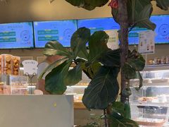 -迦南的早晨蛋糕甜品集合店