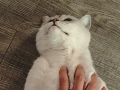 -后院儿·精酿·塔罗Happy Bar
