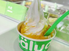 -Salud撒露欧洲冻酸奶(798艺术区店)
