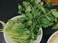 -芦月轩羊蝎子(太平桥店)