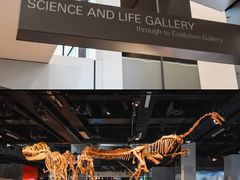 -墨尔本博物馆(Melbourne Museum)