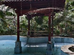 -黑龙江中医药大学附属第一医院