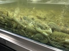 -盒马鲜生(宝地店)