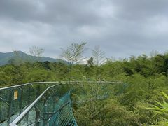 -陶祖圣境风景区
