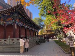-护国法轮寺