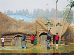 -秦皇岛乐岛海洋王国