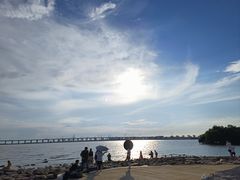 -宝安西湾红树林湿地公园