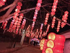 -河北村民俗体验园