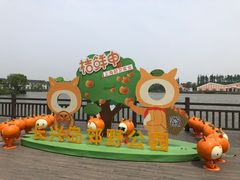 -上海长兴岛郊野公园