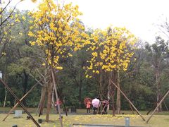 -顺峰山公园