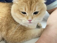 -伟伟宠物医院·CT影像中心·瑞派犬猫综合性门诊(汉口总院)
